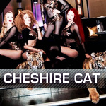 CHESHIRE CAT CLUB // SA // 25.01.2020